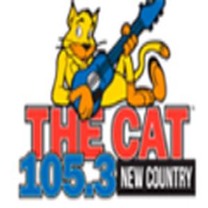 105.3 The Cat logo
