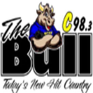 The Bull logo