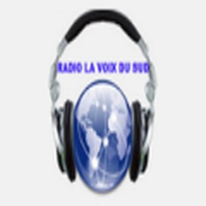 Radio La Voix du Sud Internationale logo
