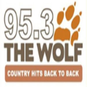 The Wolf logo