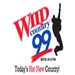 Wild Country 99 logo