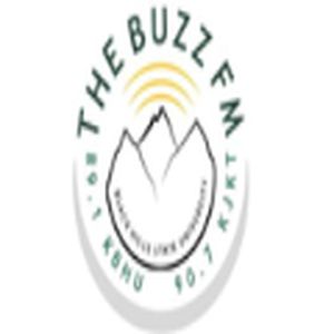 The Buzz logo