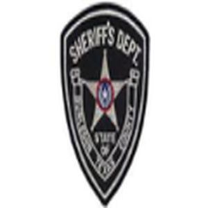 Burleson County Sheriff, Fire and EMS logo