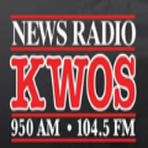News Radio 950 logo