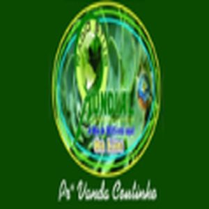 Rádio Stub Mundial logo