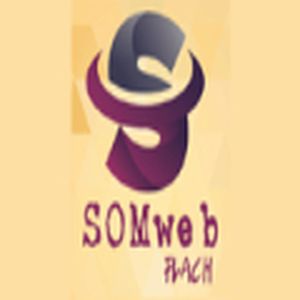Som web Flash logo
