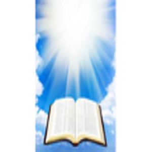 Rádio Jesus é Vida FM logo
