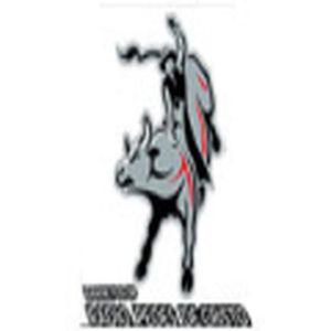 Web Radio Peoes De Cristo logo
