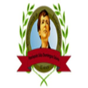 Rádio WEB São Domingos Sávio logo