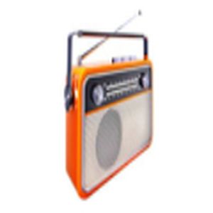 Rádio Paraiso FM logo