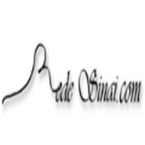 Rede Sinai logo