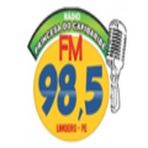 Rádio Princesa do Capibaribe FM logo