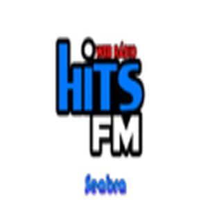 Hits FM Seabra logo