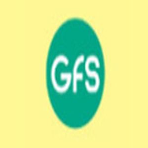 Rádio GFS logo