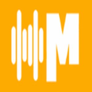 Rádio Novo Paraíso FM logo