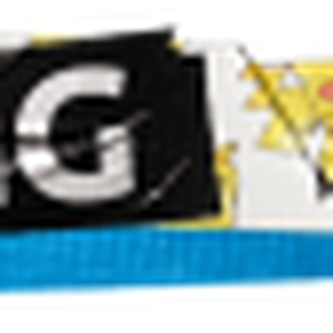 DasDing Plattenleger logo