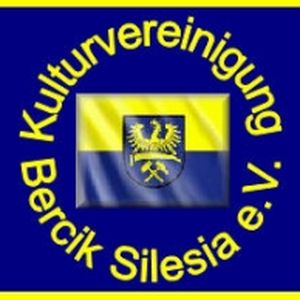 Radio Bercik logo