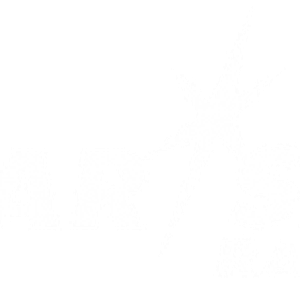 Star*Sat Radio logo