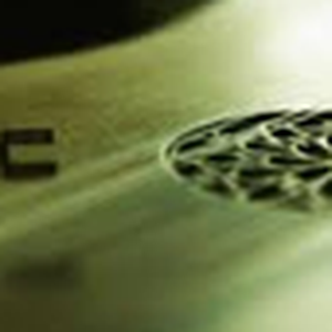 Ein Achtel Lorbeerblatt logo