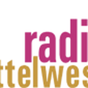 Radio Mittelweser logo