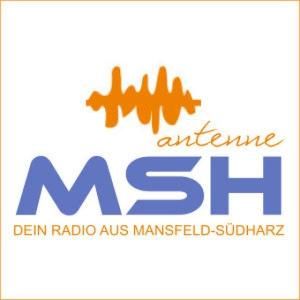 antenne-msh logo
