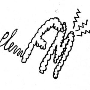 plemfm logo