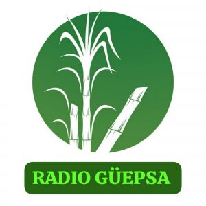 Radio Güepsa logo