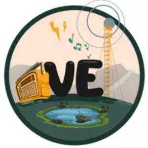 Vetas Stéreo logo