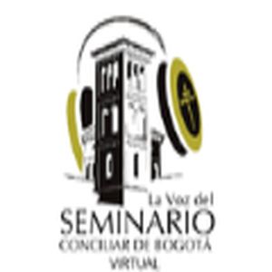 La Voz del Seminario Virtual logo