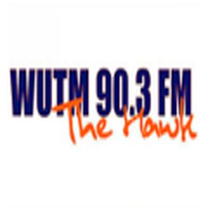 The Hawk logo