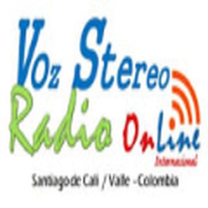 Radio Voz Stereo Internacional logo