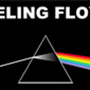 FEELING FLOYD logo