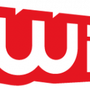 Wit - s FM logo