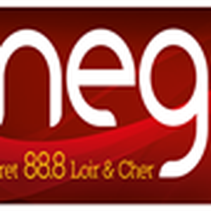 Mega FM logo