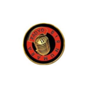 Radyo Bir Numara logo