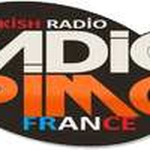Pimg Radio logo