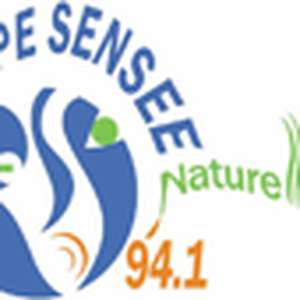 Radio Scarpe Sensée logo