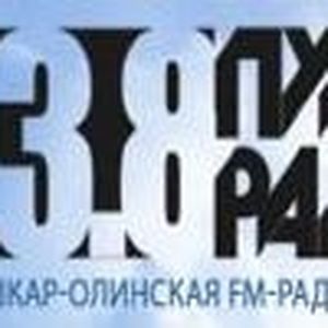 Puls Radio-103.8 FM logo