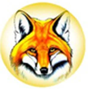 Радио Лисица logo