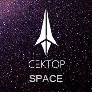 Sector Radio - Space logo