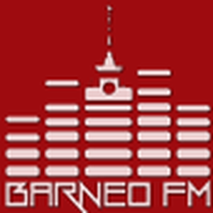 Barneo Fm logo