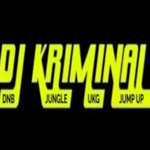 DJ-KRIMINAL-DNB-LIVE logo