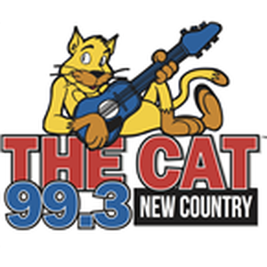 99.3 The Cat WWKT logo
