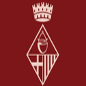 Radio Caldes logo