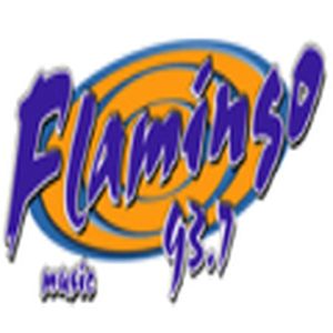Flamingo Stereo logo