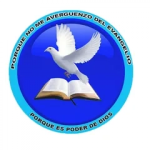 CADENA RADIO VISION 920 AM logo