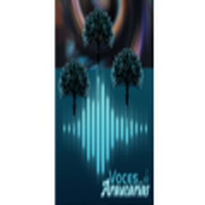 Radio Voces de Araucaria logo