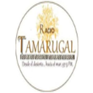 Radio Tamarugal logo