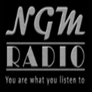 Nitty-Gritty Music Radio logo