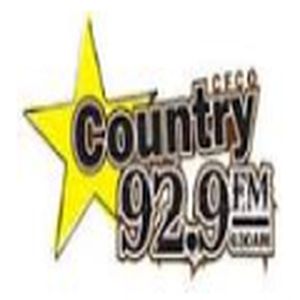 Country logo
